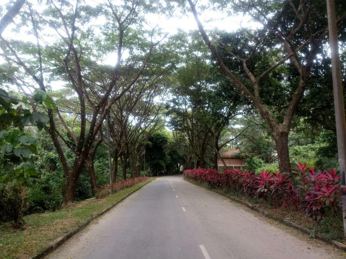 Janaview Taiping Hotel 外观 照片