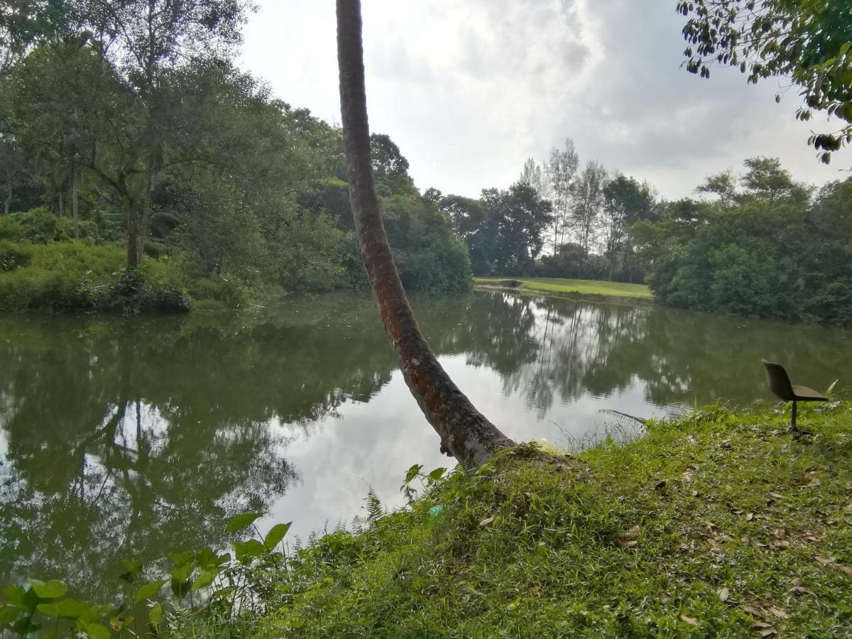 Janaview Taiping Hotel 外观 照片
